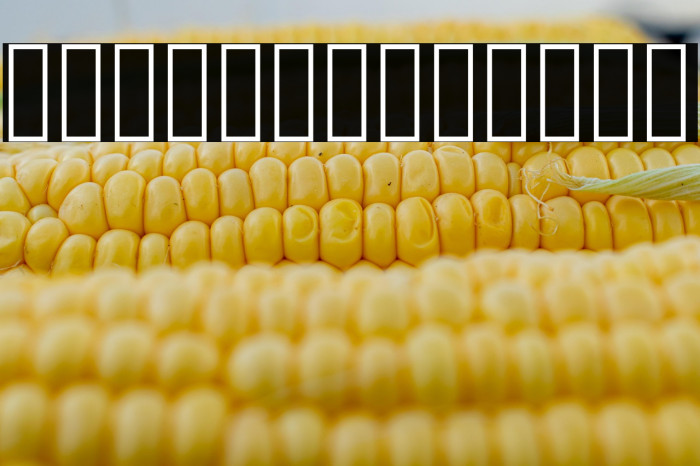 PtilNarrow Bold Example 2