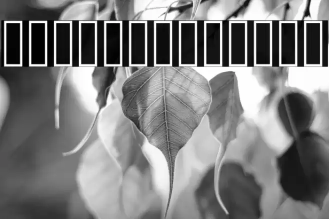 PtilNarrow Regular Font examples