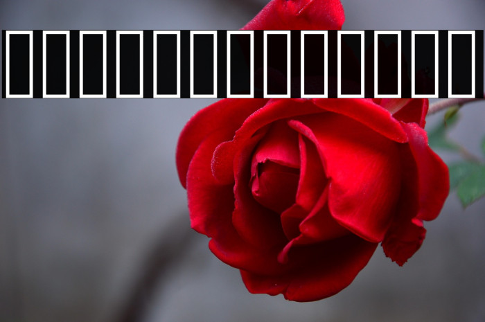 PtilWide Regular Example 1