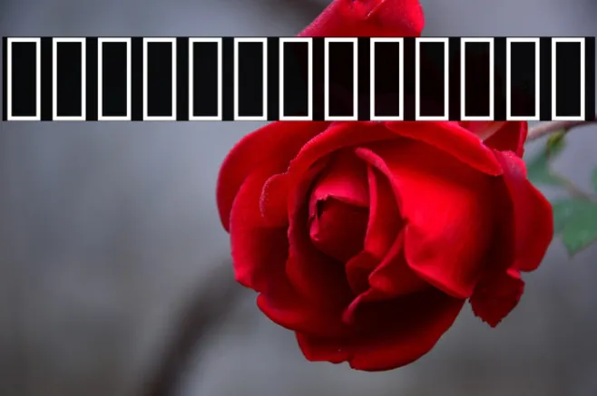 PtilWide Regular Example 1