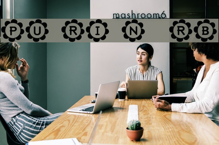 PU-RI-N [sRB] Example 2