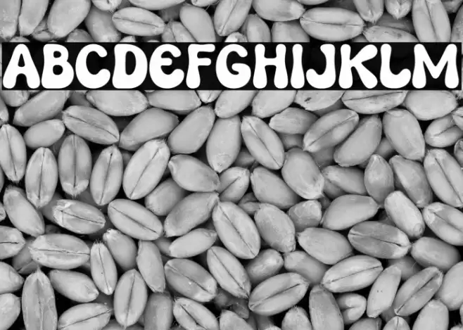 PUCKYLA Schriftart examples