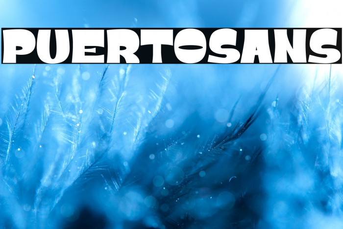 PUERTOSANS Example 1