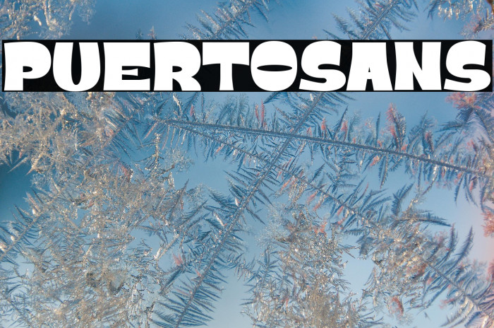 PUERTOSANS Example 2