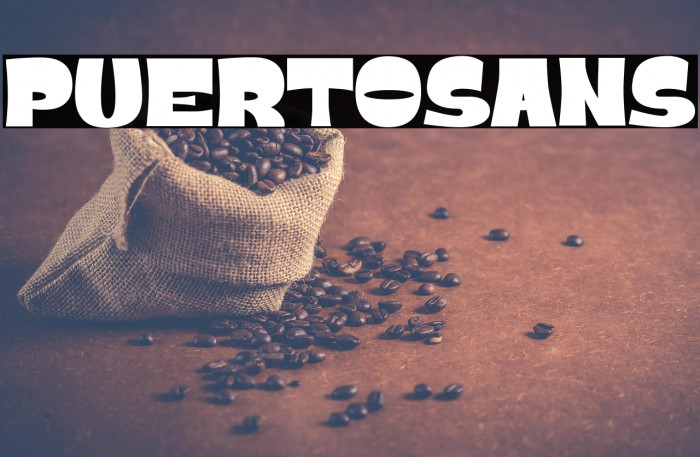 PUERTOSANS Example 3