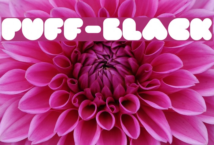 PUFF-Black Font examples