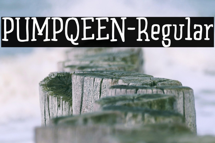 PUMPQEEN-Regular Example 1