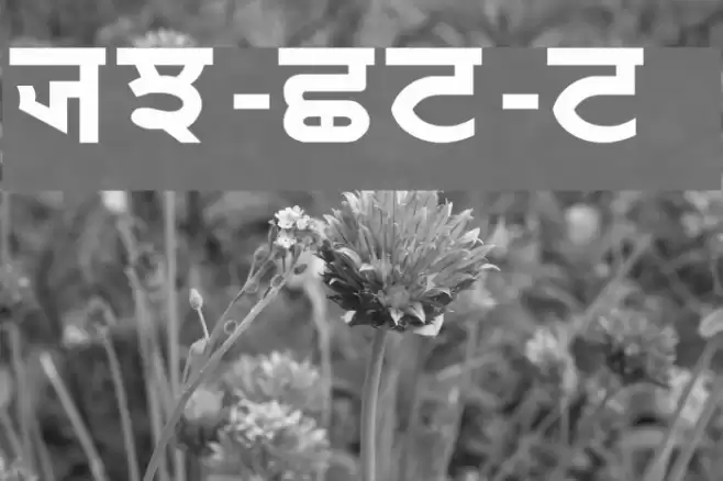 PUN-AdhunikB-Bold Font examples