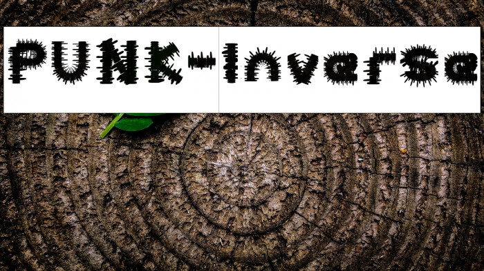 PUNK-Inverse Example 1