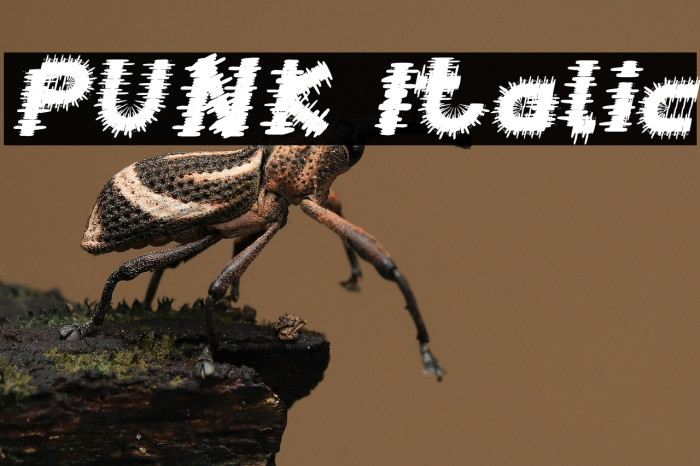 PUNK Italic Example 1