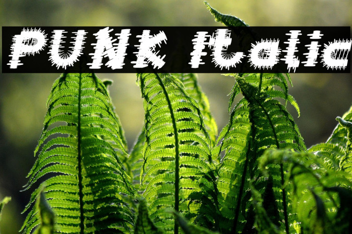 PUNK Italic Example 3