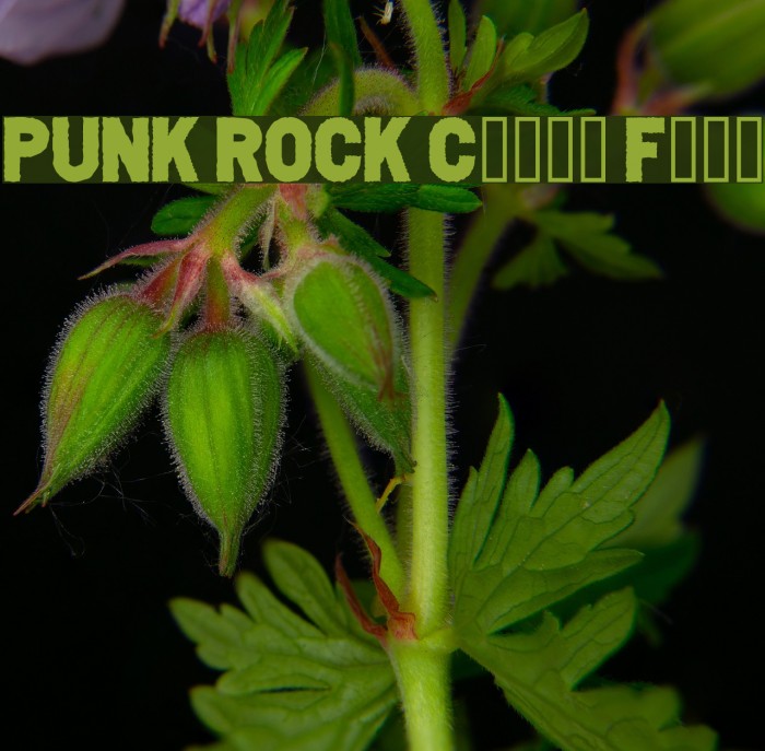 PUNK ROCK Color Fill Font examples