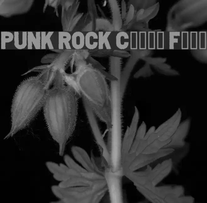 PUNK ROCK Color Fill フォント examples