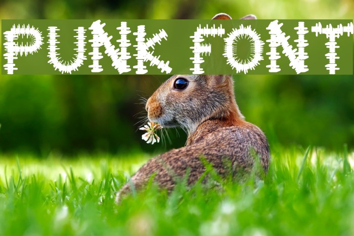 PUNK Font examples