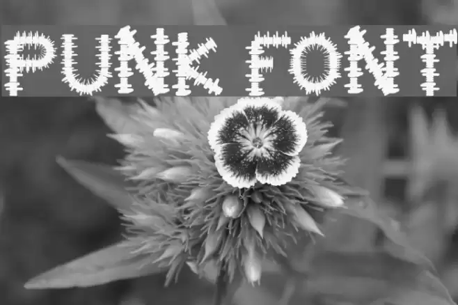 PUNK Шрифта examples