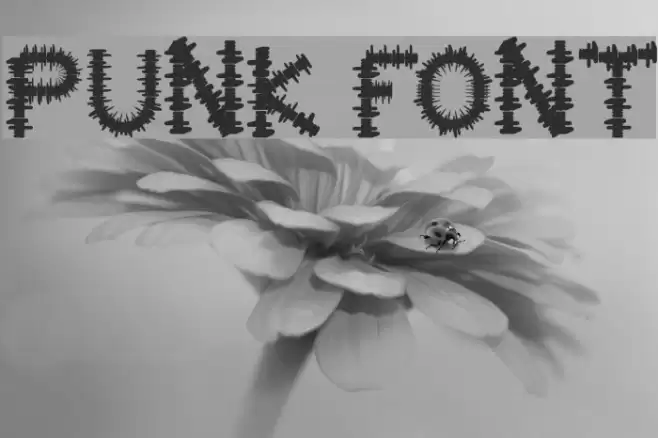 PUNK Шрифта examples