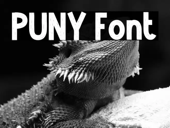PUNY Font examples