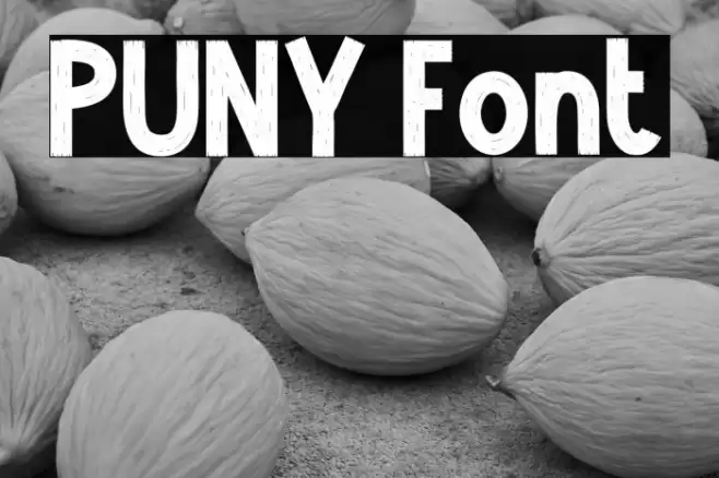 PUNY Font examples