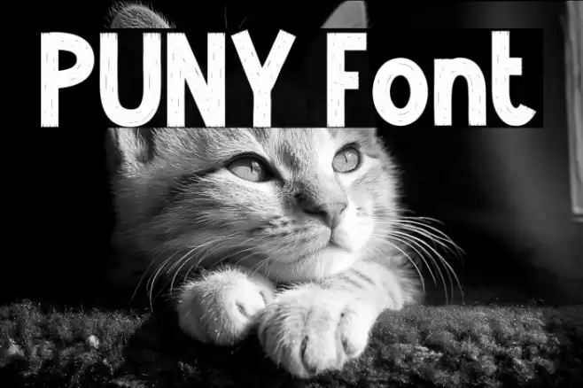 PUNY Font examples