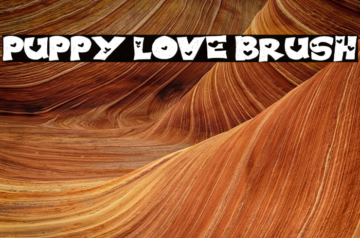 PUPPY LOVE BRUSH Example 2