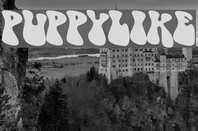 PUPPYLIKE Font examples