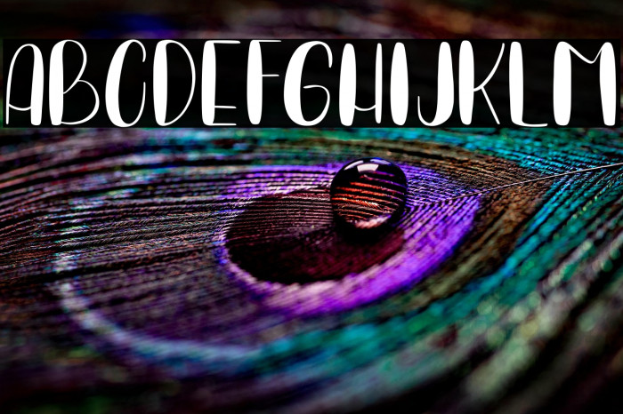 PURPLE MACARONS Example 1