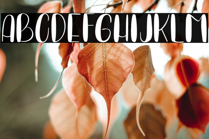 PURPLE MACARONS Example 2