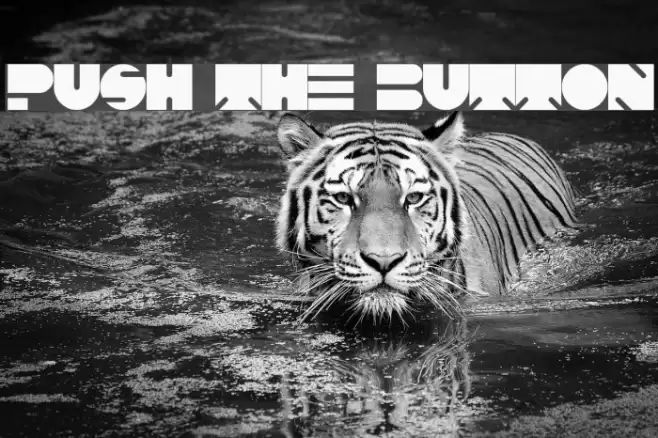 PUSH THE BUTTON Font examples