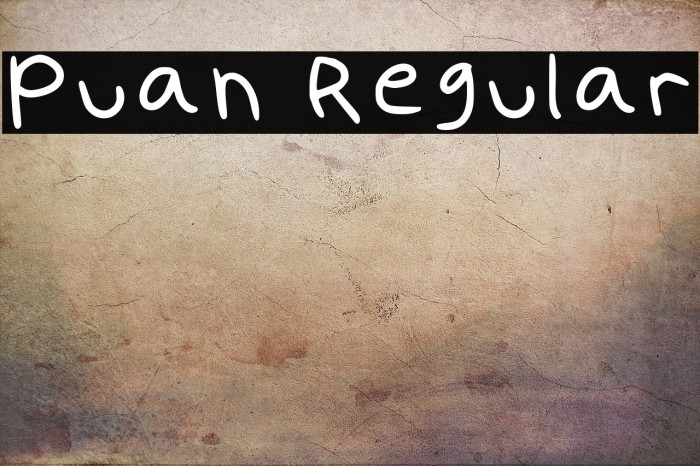 Puan Regular Example 1