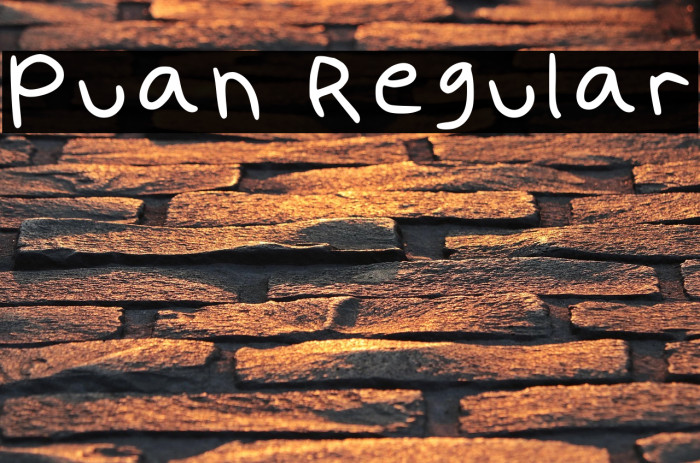 Puan Regular Example 2