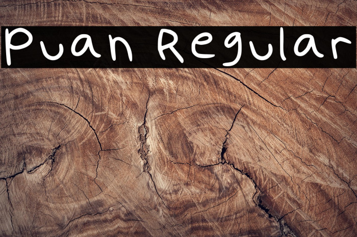 Puan Regular Example 3