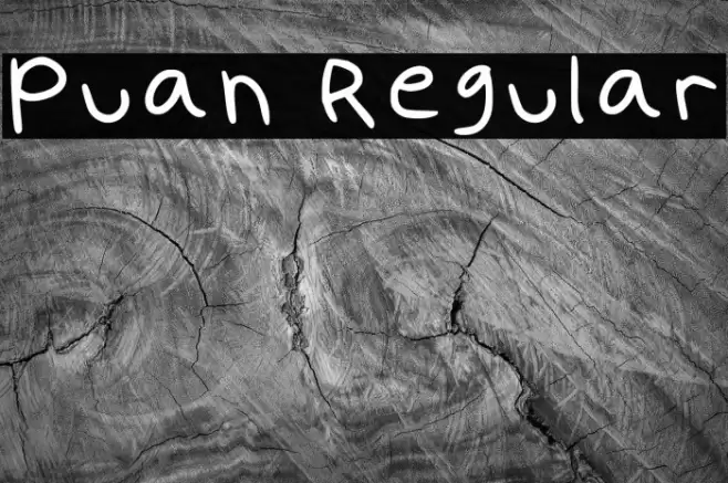 Puan Regular Font examples
