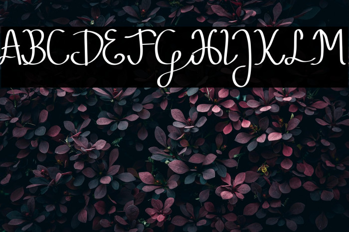 Pubarash Lulu Demo Example 3