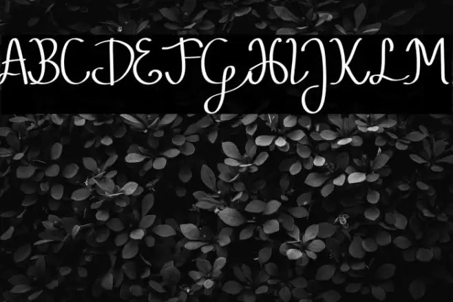 Pubarash Lulu Demo Font examples