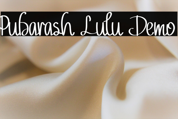 Pubarash Lulu Demo Example 1