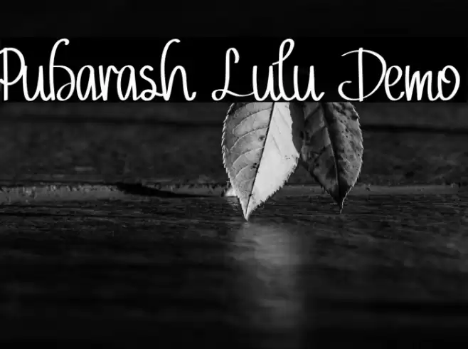 Pubarash Lulu Demo Font examples