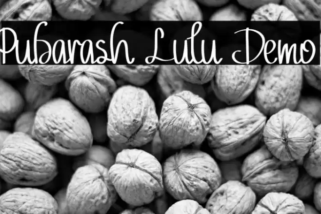 Pubarash Lulu Demo Font examples