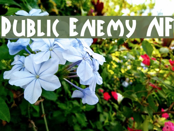 Public Enemy NF Font examples