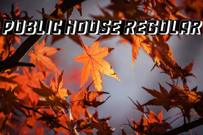 Public House Regular Example 2