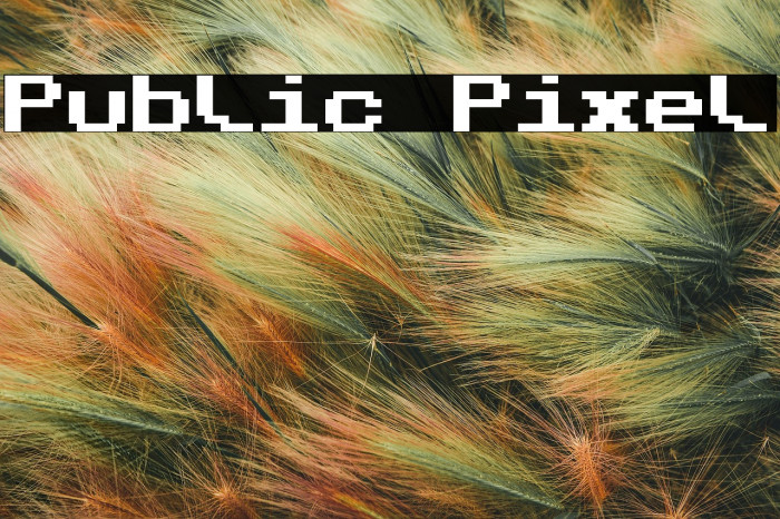 Public Pixel Example 3