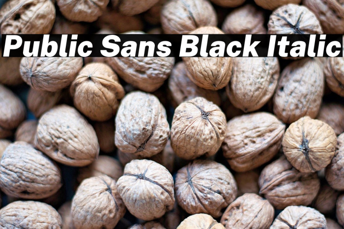 Public Sans Black Italic Example 1