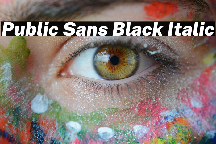 Public Sans Black Italic Example 2