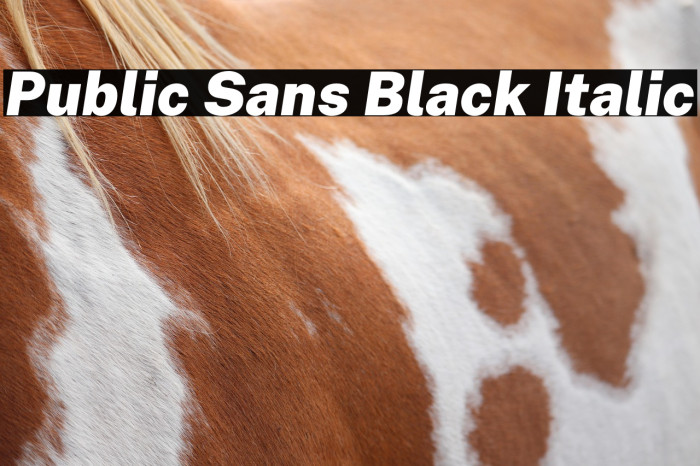Public Sans Black Italic Example 3