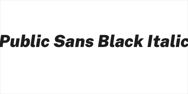 Public Sans Black Italic Logo