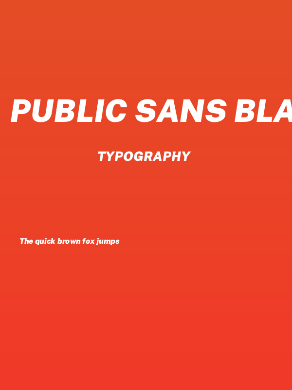 Public Sans Black Italic Poster
