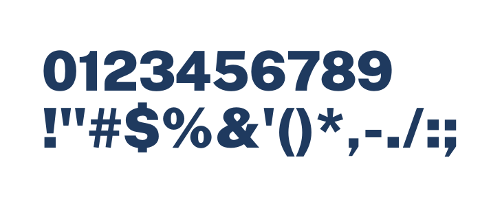 Public Sans Black Other Characters