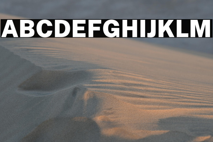 Public Sans Black Example 1