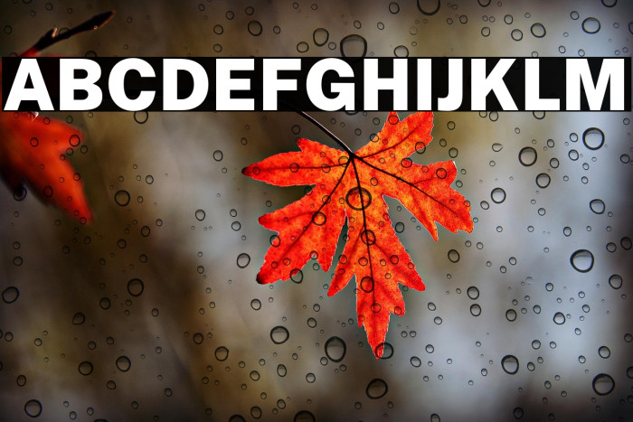 Public Sans Black Example 2