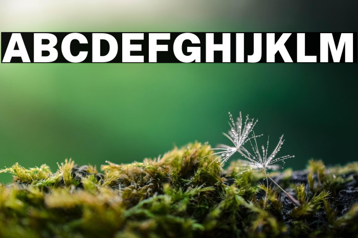 Public Sans Black Example 3