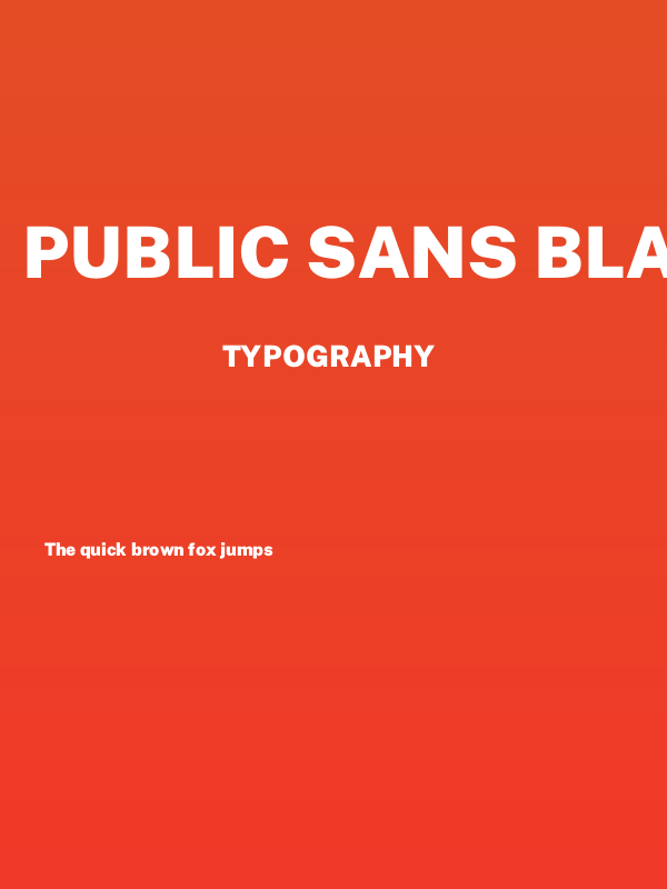 Public Sans Black Poster